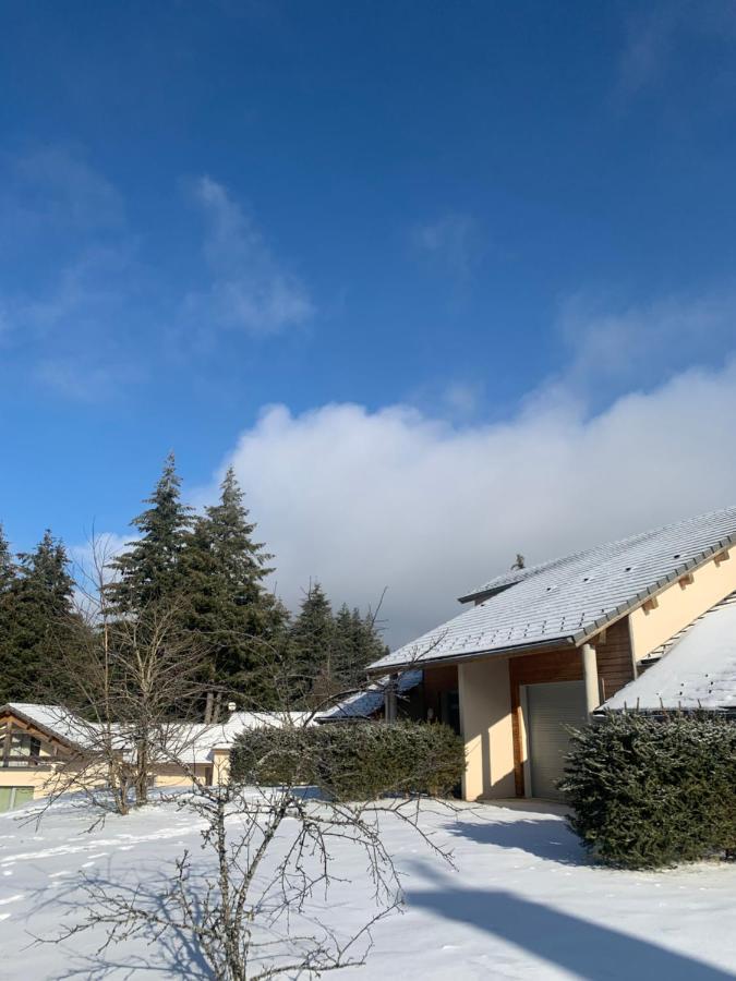 Ferienwohnung "Les Oiseaux" Avec Terrasse, Parking, Duplex Le Chambon-sur-Lignon Exterior foto