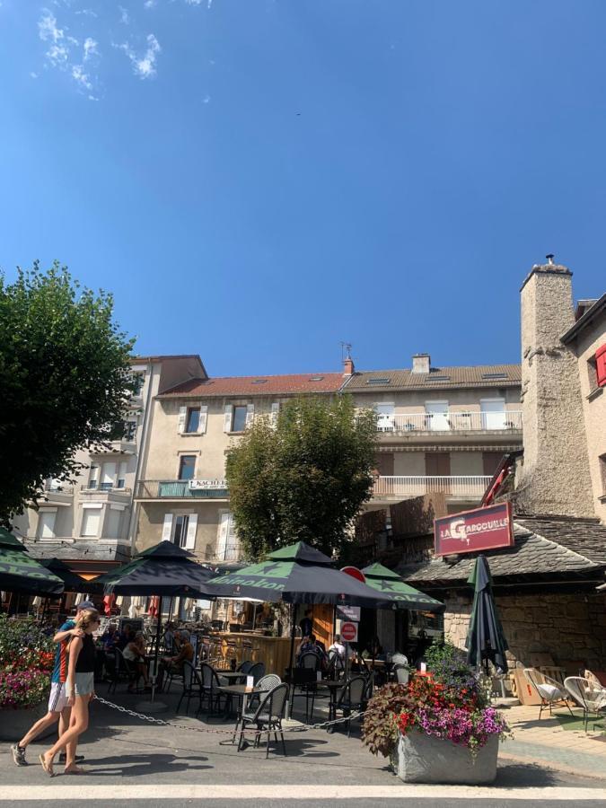 Ferienwohnung "Les Oiseaux" Avec Terrasse, Parking, Duplex Le Chambon-sur-Lignon Exterior foto