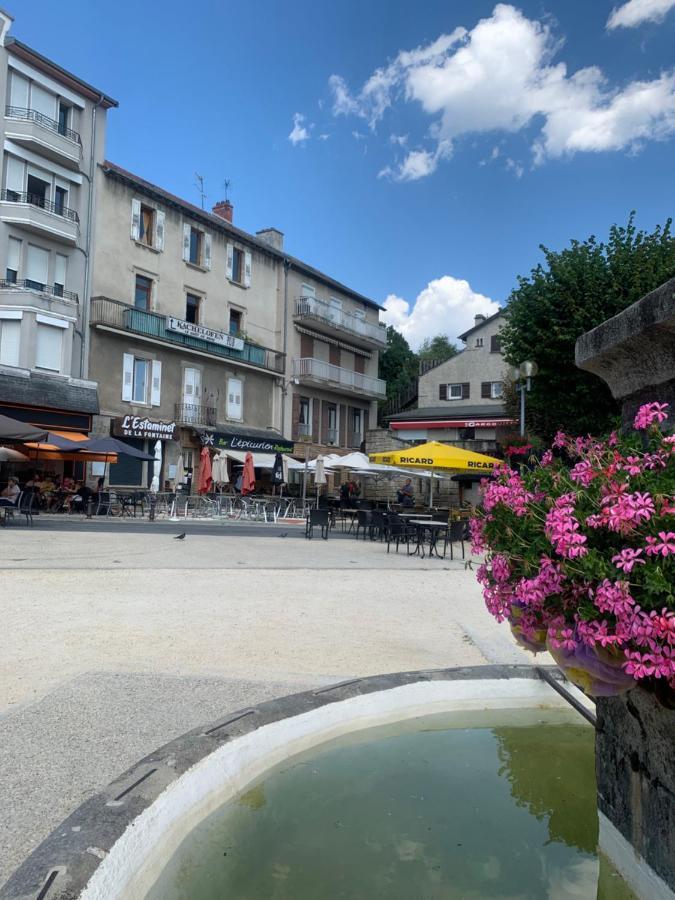 Ferienwohnung "Les Oiseaux" Avec Terrasse, Parking, Duplex Le Chambon-sur-Lignon Exterior foto